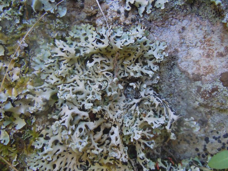 ...dalla Gallura 1